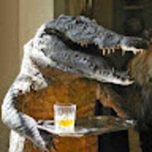 Meet your Posher, Alison